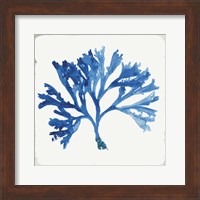 Framed 'Blue and Green Coral IV' border=