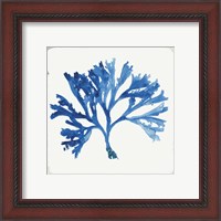 Framed 'Blue and Green Coral IV' border=