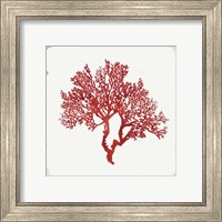 Framed 'Red Coral II' border=