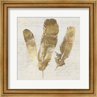 Framed 'Feather Softly II' border=