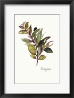 Framed Oregano