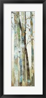 Towering Trees I Framed Print