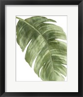 Palm Green II Framed Print