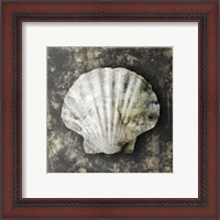 Framed 'Marble Shell Series IV' border=