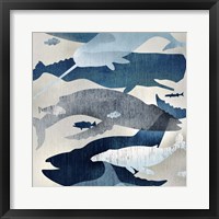 Whale Watching I Framed Print