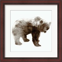 Framed 'Bear' border=