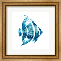 Framed 'Fish I' border=