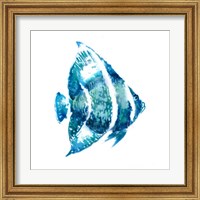 Framed 'Fish I' border=