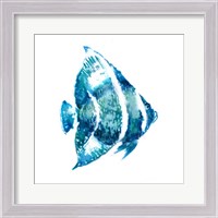 Framed Fish I