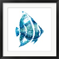 Framed 'Fish I' border=