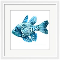 Framed 'Fish II' border=