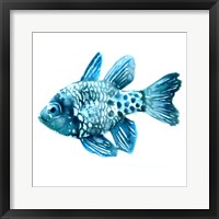Fish II Framed Print