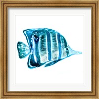 Framed 'Fish III' border=