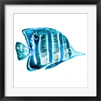 Framed 'Fish III' border=