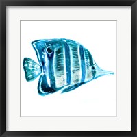 Framed 'Fish III' border=