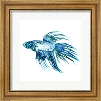 Framed 'Fish IV' border=