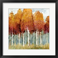 Framed 'Birch I' border=