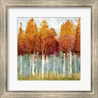 Framed 'Birch II' border=