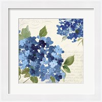 Framed 'Hampton Hydrangea I' border=