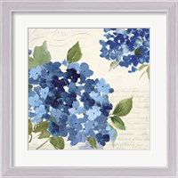 Framed 'Hampton Hydrangea I' border=