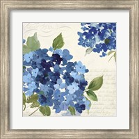 Framed 'Hampton Hydrangea I' border=