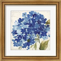 Framed 'Hampton Hydrangea II' border=