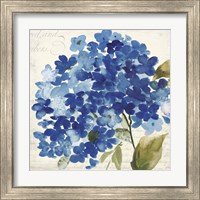 Framed 'Hampton Hydrangea II' border=