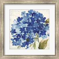 Framed 'Hampton Hydrangea II' border=