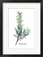 Framed Rosemary I