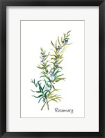 Rosemary II Framed Print