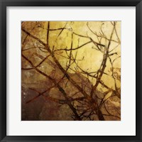 Framed Ombre Branches I