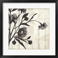 Shadow on Wood II Framed Print