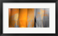 Framed Orange Shades