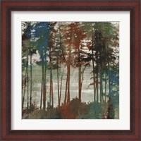 Framed 'Spruce Woods I' border=