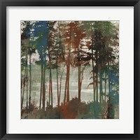 Framed Spruce Woods I