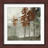 Framed 'Spruce Woods II' border=