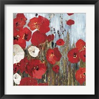 Framed 'Passion Poppies I' border=