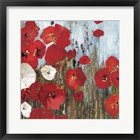 Passion Poppies I Framed Print