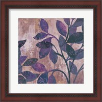 Framed 'Viola II' border=