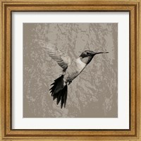 Framed 'Feathered I' border=