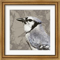 Framed 'Feathered III' border=