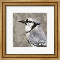 Framed 'Feathered III' border=