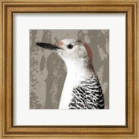 Framed 'Feathered IV' border=