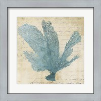 Framed 'Blue Coral I' border=