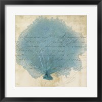 Blue Coral IV Framed Print