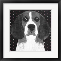 Framed 'Beagle' border=