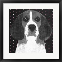 Framed Beagle