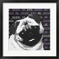 Pug Framed Print