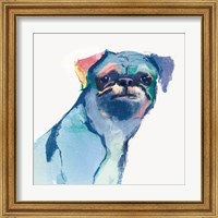 Framed 'Snug Watercolor' border=