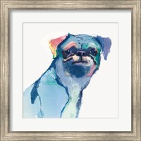 Framed Snug Watercolor